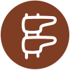 Icono vertebras